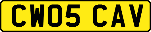 CW05CAV