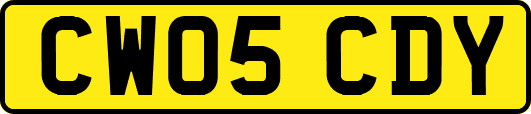CW05CDY