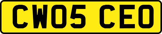 CW05CEO