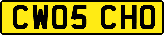 CW05CHO