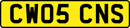CW05CNS