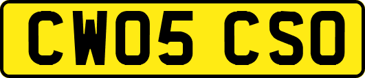 CW05CSO