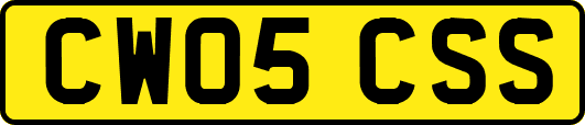 CW05CSS
