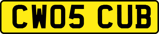 CW05CUB