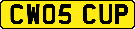 CW05CUP