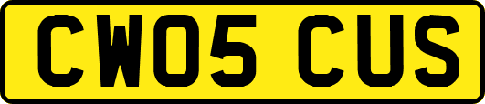 CW05CUS