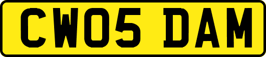CW05DAM
