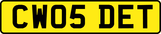 CW05DET