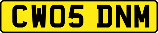CW05DNM