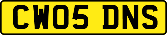 CW05DNS