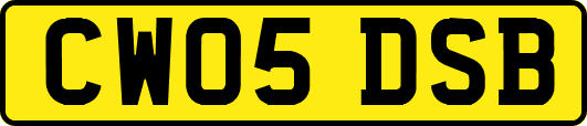 CW05DSB