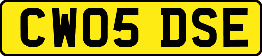 CW05DSE