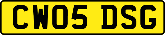 CW05DSG
