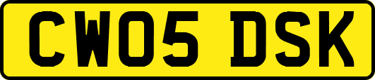 CW05DSK