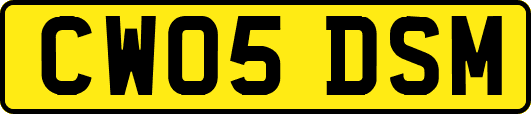 CW05DSM