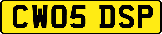 CW05DSP