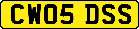 CW05DSS