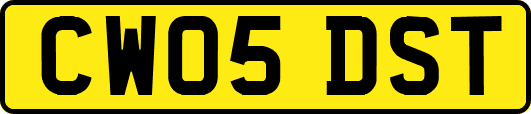 CW05DST