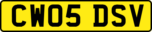 CW05DSV