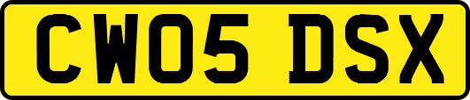CW05DSX