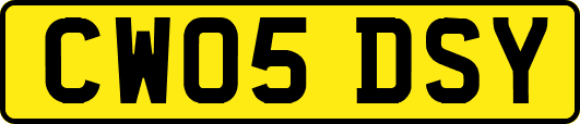 CW05DSY