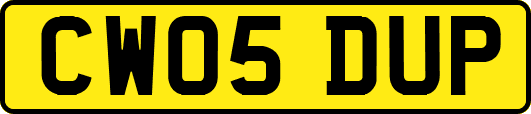 CW05DUP