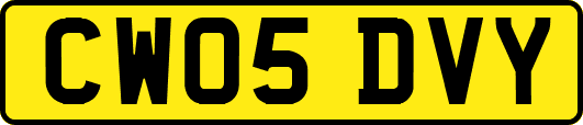 CW05DVY