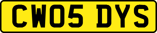 CW05DYS