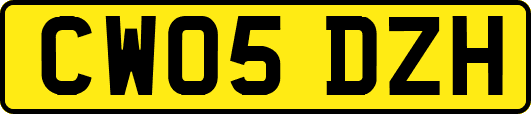 CW05DZH