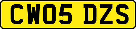 CW05DZS
