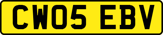 CW05EBV