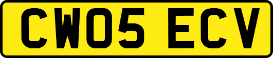 CW05ECV