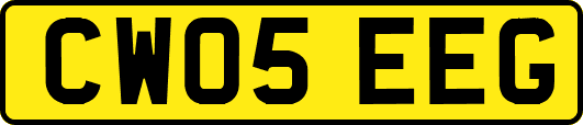 CW05EEG