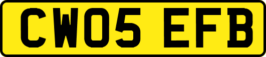 CW05EFB