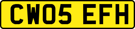 CW05EFH