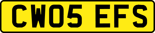 CW05EFS