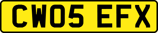 CW05EFX
