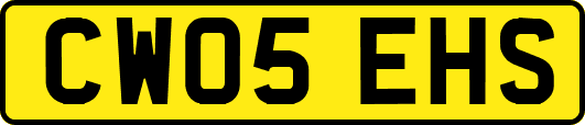 CW05EHS