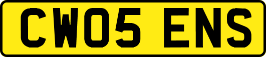 CW05ENS