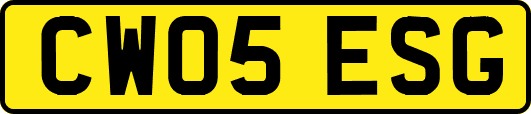 CW05ESG