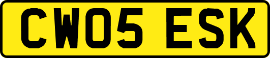 CW05ESK
