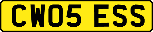 CW05ESS