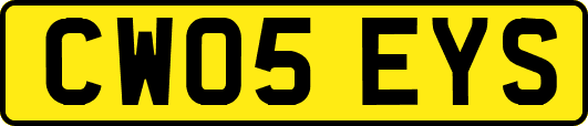 CW05EYS