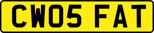 CW05FAT