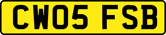 CW05FSB