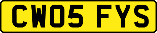 CW05FYS