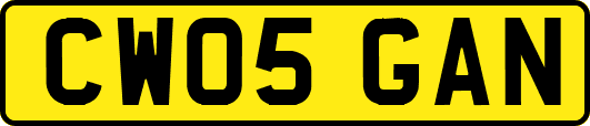 CW05GAN