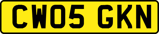 CW05GKN