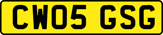 CW05GSG