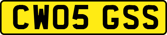 CW05GSS